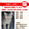 【愛媛県新居浜市】里親募集のお知らせ！