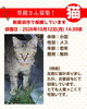 「【愛媛県新居浜市】里親募集のお知らせ！」