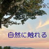 自然に触れて自律神経を整える🌿心地よい眠りとお試しキリのご案内😊