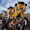 【西条まつり2026🏮】御輿4台が集結！迫力満点の練り比べ🔥