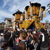 【西条まつり2026🏮】御輿4台が集結！迫力満点の練り比べ🔥