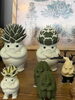 10/17(土)🌵八王子ジャングル🌱植物・植物関連ART・色々集まるらしいぞ〜🍃「【10/17(土)開催】大人気イベント🌵「八王子ジャングル」🌱今週末はイオン八王子滝山/next住まいラウンジへ🍃」