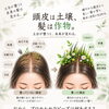 健やかな髪を育む土台づくり｜頭皮ケアの大切さとプロセル頭皮トリートメント