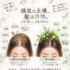 健やかな髪を育む土台づくり｜頭皮ケアの大切さとプロセル頭皮トリートメント