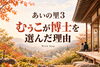 「江戸川区の婚活｜あいの里シーズン3の感想。「好きだけど疲れる恋」と婚活の相手選び」
