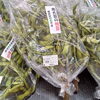 採れたての新居浜産が勢ぞろい！新鮮な旬野菜と【地方祭に伴う休業のお知らせ】