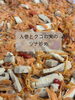 季節の薬膳弁当「肺をいたわる秋の食養生🌿薬膳弁当の副菜4品」