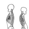 姿勢を良くするとは｜筋力ではなく骨で支える身体の使い方