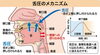 「お口の機能低下に気づいていますか？「舌の力」と飲み込みの大切なお話」
