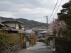 住宅街のイメージ。宇治市の特定物件・災害危険区域を示す写真ではありません。「晴れの日の内見では見えない。宇治市の中古戸建とハザードマップ」