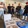 間人港のセリ市より。秋を告げる冲ギスやノドグロなど、旬の地魚が揃い始めました