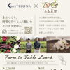 ☆カラフル野菜の小山農園×CASTELLINAイベントのお知らせ！☆