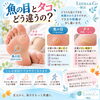 🐾 魚の目とタコ、どう違うの？