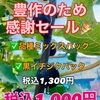 いちじく豊作感謝セール！