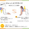 産前産後の寝返りや起床時の腰痛予防に。おうちでできる「キャットエクササイズ」