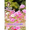 「珠ちゃん通信～2026年10月号～「鉄板ファミリーKUWA」さん(^_^)/」