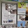 柳楽航平さんの1st写真集。『A YEAR OF DEER』