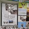 柳楽航平さんの1st写真集。『A YEAR OF DEER』