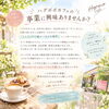 🌿 ハグポポの次の物語を、一緒につくってくださる方へ。【福井韓国風カフェ Hugpopo ハグポポ】