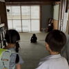 チンパンジーのぬいぐるみ🐒名前は「黒瀬わたる」になりました