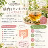 美と健康は内側から。腸内環境を整える大切さと、心と身体をやさしく労わるサロンケア