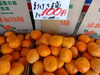 佐渡のおけさ柿大特価販売中！「岩船大祭大奉仕市！」