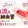 コレ知ってる？血流と毛細血管が私たちの細胞を支えています😊✨