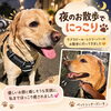 浦和までお散歩依頼にお伺いしました🐾夜のラブラドールちゃんサポート