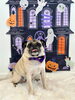 ムッ太くん「Happy Halloween 2026🎃」
