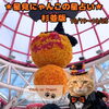 🌟 杉並区版☆12星座占い 🌟まいぷれ☆星見にゃんこ🌟10/12〜10/18