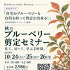 「秋のブルーベリー剪定セミナー」を10月も開催します🫐