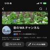 月曜11時はYouTubeライブ！稙田公民館の歌声クラブから昭和歌謡クイズ＆生配信をお届けします