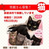 【愛媛県新居浜市】里親募集のお知らせ！