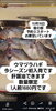「ウマヅラハギ今シーズン初入荷です」