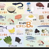 タンパク質とビタミン