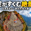 紅葉と絶景に出会う一日！子どもたち・保護者の皆さんと秋の大台ヶ原へ【豊明市の運動教室 S.A.C.】