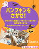 「学研スマイル教室に見学にきませんか🎃【越前市・幼児小学生個別指導/学研スマイル教室】」