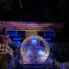 国宝の夜間特別拝観に行って来た/静岡のお出かけスポット/アクアリウムのメンテナンス付きレンタルはアクアデザインブルース/