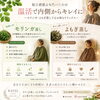 初めての温活にもおすすめ モリンガ蒸しとよもぎ蒸しで心と体を整えるひとときを