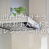 【油汚れにサヨナラ！】10年間お手入れ不要!? 古い換気扇から交換したい最新レンジフードの魅力