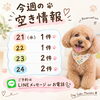 「🐾 今週のトリミング空き情報 ✂️🐶当日予約可🐾」