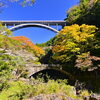 秋の宮崎を楽しむ紅葉ドライブへ🍁トヨタレンタカーで季節の景色を満喫しませんか？
