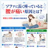 ソファに座っていると腰が痛いのはなぜ？胸郭と身体の支え方から考える腰への負担｜福島市で腰痛にお悩みの