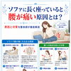 ソファに座っていると腰が痛いのはなぜ？胸郭と身体の支え方から考える腰への負担｜福島市で腰痛にお悩みの