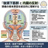 整体院らしく（笑）