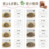 初めての方も安心♪12種類の草からぴったりを選べる「若よもぎ蒸し」で心と体を整えませんか？✨