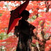 函館の紅葉ロケーション撮影で残す成人式✨雰囲気の良い素敵なアングルを見つけます📸🍁