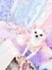 「チワワのさぼちゃん👗」
