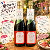 「紅茶の上品な味わいワイン✨」
