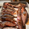 鮮度抜群のキジハタとかさごを香ばしい焼き物で楽しむ夜 豊明市の居酒屋で今日も乾杯！